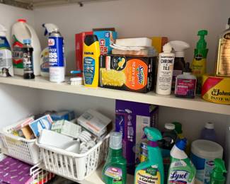 Everyday cleaning supplies