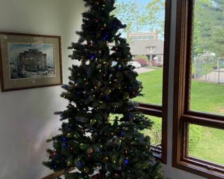 A tree in May…why not
