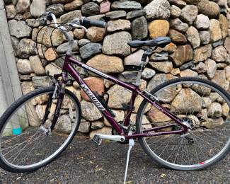 Crossroads Specialized bike