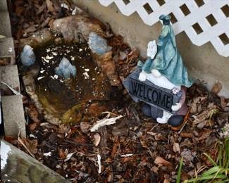 0714Front Yard