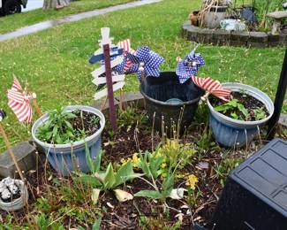 0709Front Yard