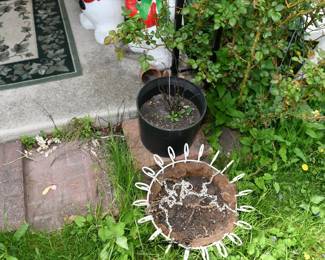 0387Back Yard