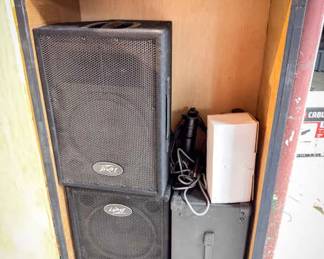 Peavey PVi 10 2-Way Speaker System & Custom Carrying Crate