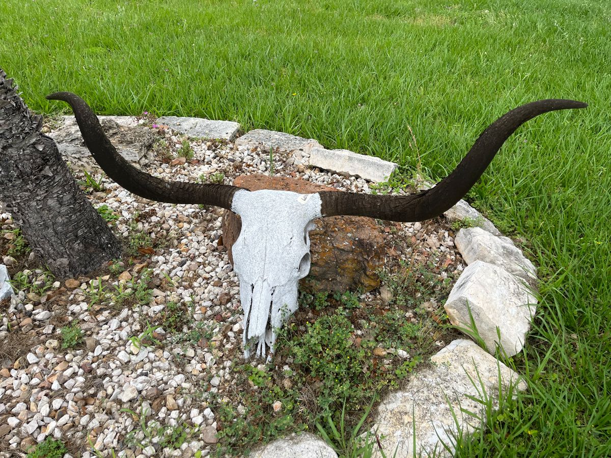 "WELCOME TO OUR RANCHITO!"