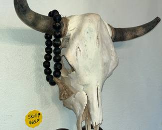 STEER SKULL