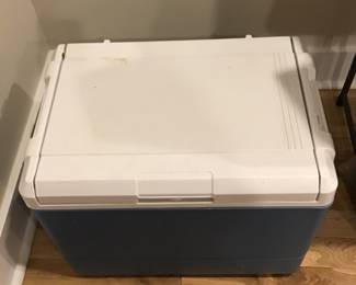 Portable Fridge / cooler
