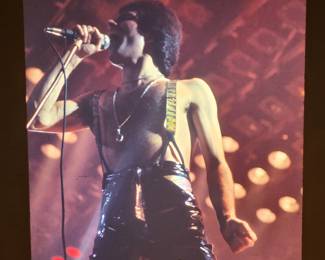 Freddie Mercury