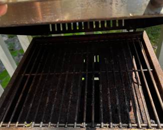 #28 Expert Grill Table Top 2 burner Propane Grill - used $20.00