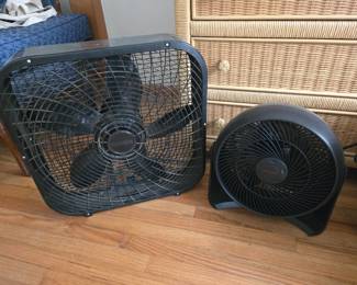 Fans