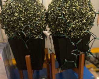 Indoor or outdoor plants with fan could be used all year around or just get Christmas. They're very nice $25 each.