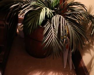 Plant ($20)