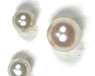 wIMG 8136 t