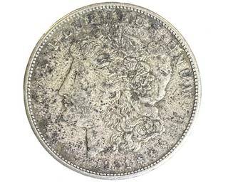 wIMG 2665 t