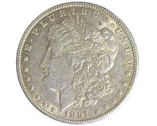 wIMG 2656 t