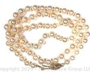 wIMG 8061 t