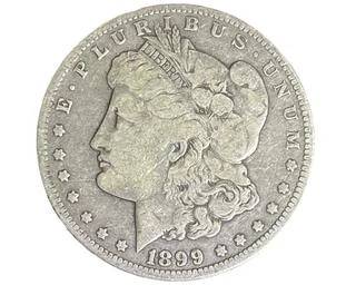 wIMG 2679 t