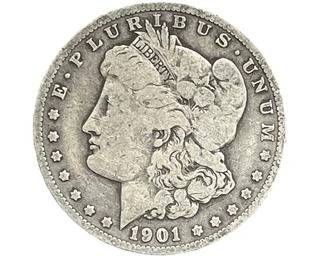 wIMG 2644 t