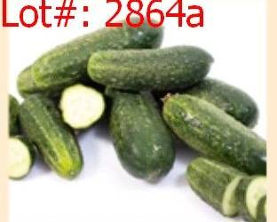2864a result