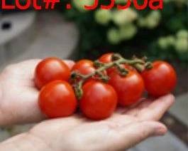 3330a result