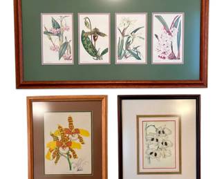 Lady Slippers, Dendrobium, More Framed Vintage Orchid Prints