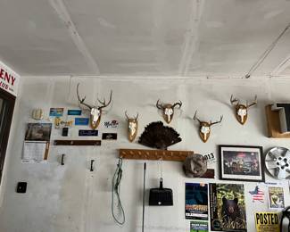 Antlers...maybe we will find a jackalope!
