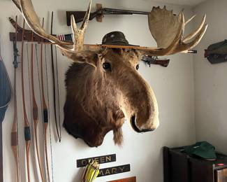 Alaskan Moose Mount and hunting items.