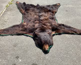 Taxidermy bear rug