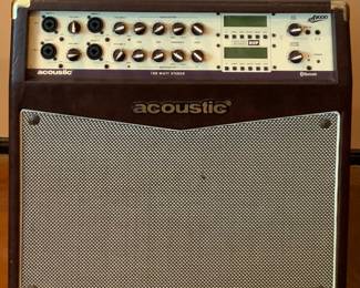 Acoustic A1000 Instrument Amp