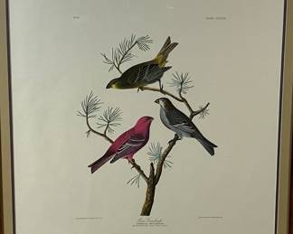 Lot #55 John J Audubon - Amsterdam Edition Pine Grosbeak Robert Havell 39x27in '72. Colour-printed lithograph on handmade paper https://denveronlineauctions.com/auction-details?id=1329930