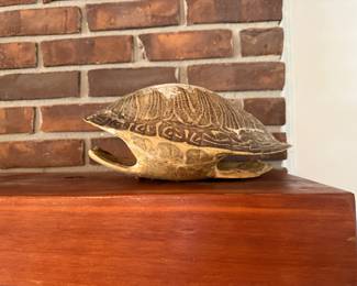 Big turtle shell