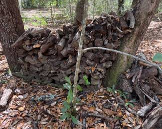 Stack of wood