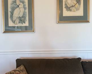 Large antique Cockatoo engravings, nice sofa