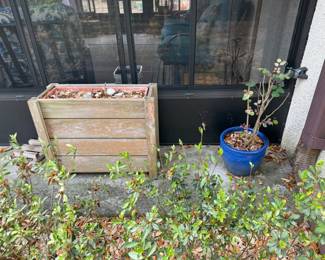 Planters