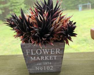 Flower Market Planter & Plant 