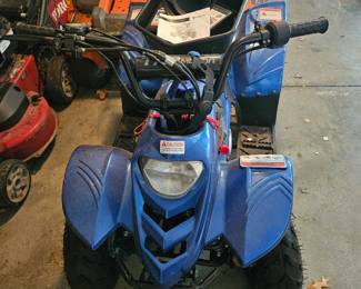 Child Size Four Wheeler 