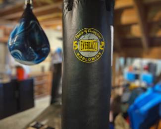 Everlast Punching Bag 