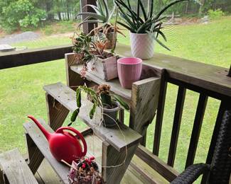 Assorted Plants 