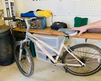 lady's Trek bike