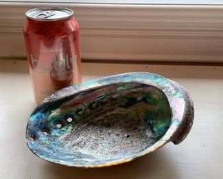 Abalone Shell