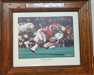 FRAMED ALABAMA PICTURE