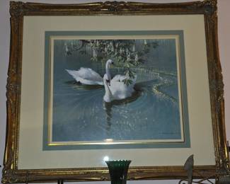 Large Swan Picture