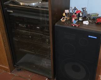 Pioneer Speakers with Stereo System