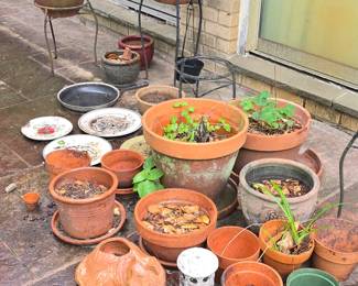 Flower Pots
