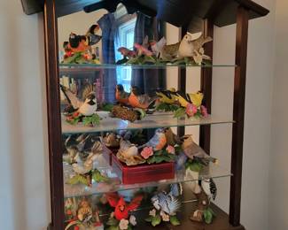 Beautiful ceramic bid collection!