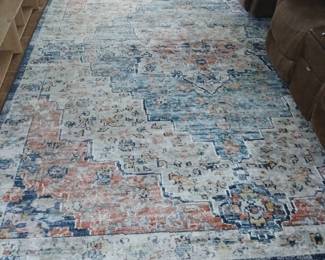 10' x 14' area rug