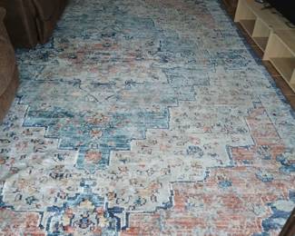 10' x 14' area rug