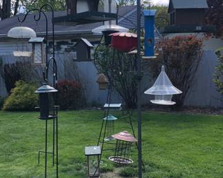Bird houses are now 50% off