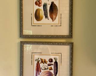 Framed/Matted Botanical Prints