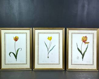 French Botanical Lithographs