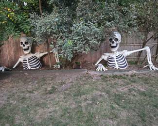 Huge Halloween ground breaker skeletons